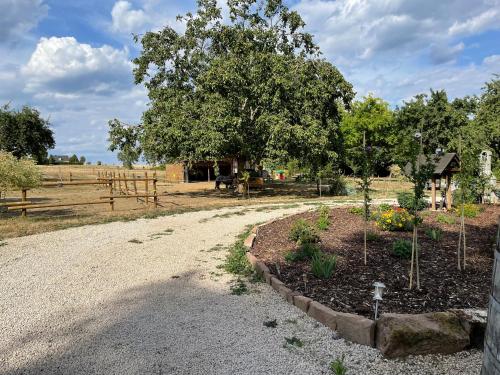 Κήπος έξω από το Eifel-Apartments Orsfeld