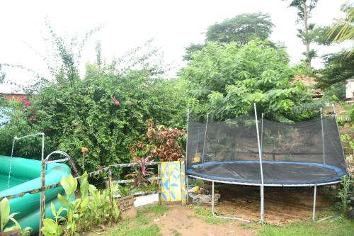 Adomi Bridge Garden – Photos 3