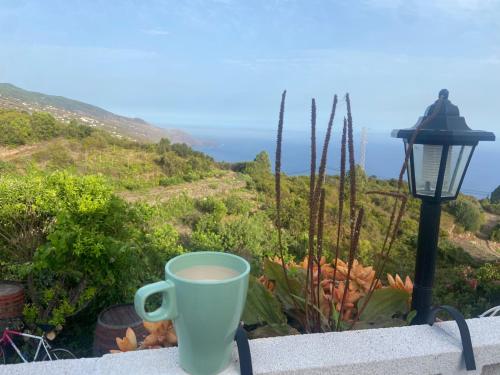 a cup of coffee on a ledge with a view of the ocean at Casa Nieves de Mario in Santa Cruz de la Palma