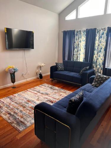 sala de estar con sofá azul y alfombra en SPRINGVIEW HOMES 12MINS FROM EWR & 3 MINS FROM UNIVERSITY HOSPITAL en Newark