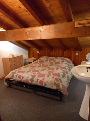 a bedroom with a bed and a sink at Le Perce Neige d'Alicia in Sainte-Foy-Tarentaise