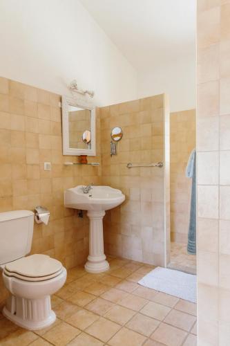 a bathroom with a toilet and a sink and a shower at Quinta Bohemia in Moncarapacho
