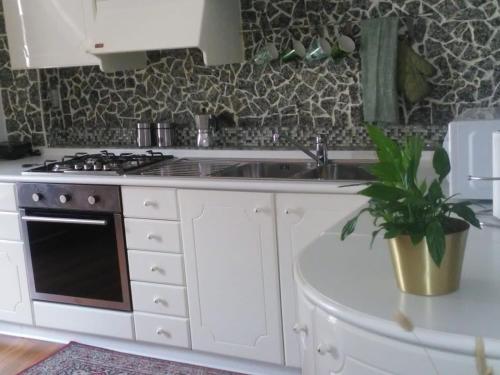uma cozinha com um lavatório, um fogão e uma planta em Casa Criss em Brentonico
