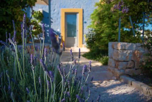 a garden with purple flowers in front of a house at Borgo dei Lecci Puglia in Selva di Fasano