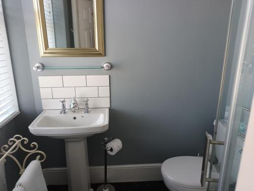 a bathroom with a sink and a toilet and a mirror at Wyburn House in Great Torrington