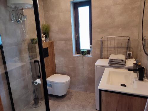 a bathroom with a toilet and a sink and a shower at Domek pod Żukowem in Ustrzyki Dolne