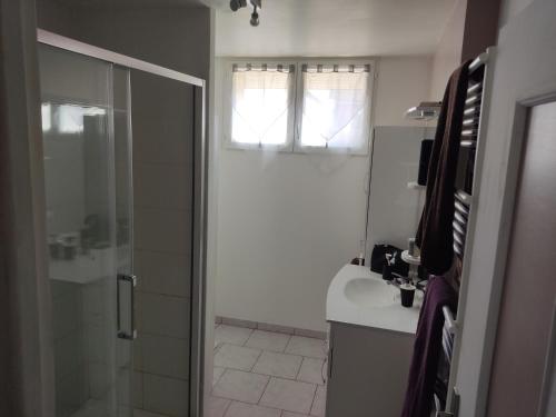 ein Bad mit einer Dusche, einem Waschbecken und einem WC in der Unterkunft La casa de Coco in Séry-lès-Mézières