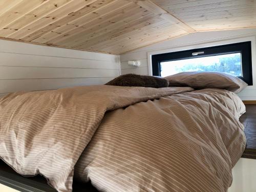 a bed in the middle of a room with a window at Tiny House mit Saunafass und Garten in Brensbach