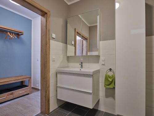 a bathroom with a sink and a mirror at Mayr-Hof (Mank) Appartement in Seimetzbach