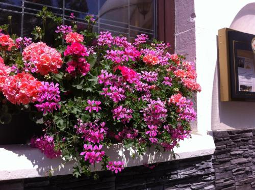 a window box filled with pink and purple flowers at Hotel Royal in Villingen-Schwenningen