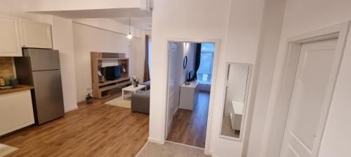 Kuchyň nebo kuchyňský kout v ubytování Calea Moldovei Residence