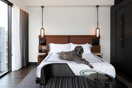 Thompson Denver, by Hyatt Image
