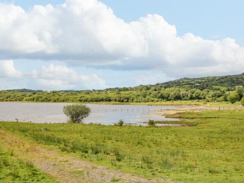 a body of water with a tree in the middle at Derriens Farmhouse in Enniskillen
