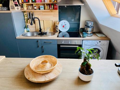 una cocina con una mesa con una planta en Duplex-centre ville, en Caen
