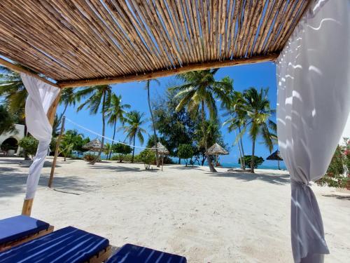 a beach with two blue chairs and palm trees at Kijani Beach Villas in Bwejuu