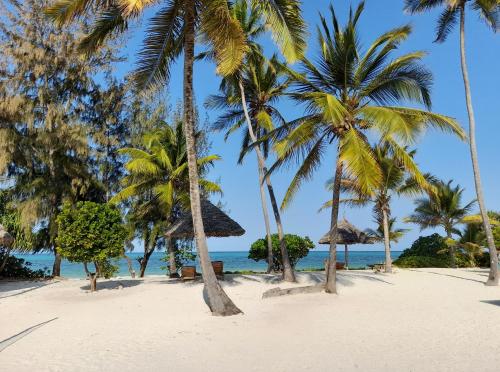 a beach with palm trees and the ocean at Kijani Beach Villas in Bwejuu