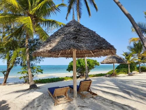 two chairs under a straw umbrella on a beach at Kijani Beach Villas in Bwejuu