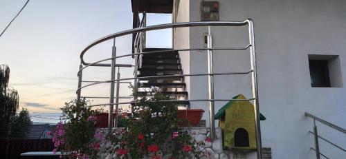 トゥルダにあるCasa Orsiの窓に螺旋階段を設けた建物