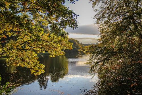 a view of a river from between two trees at Spread Eagle Inn in Stourton