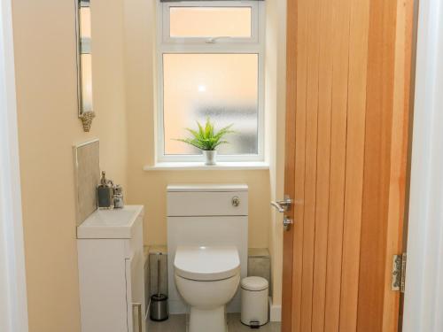 a bathroom with a toilet and a window with a plant at Sawtons Cottage 1 in Dawlish