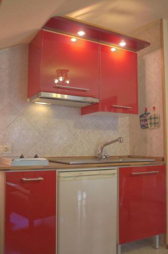 Dapur atau dapur kecil di Residence Petit Tibet
