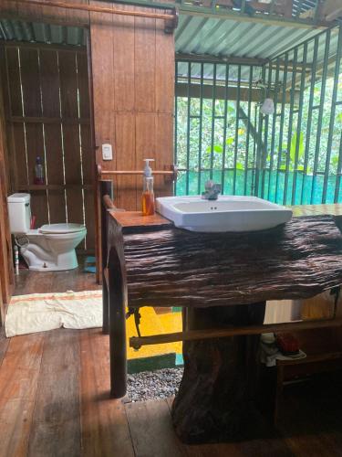 a bathroom with a sink and a toilet on a table at Beach house in Drake