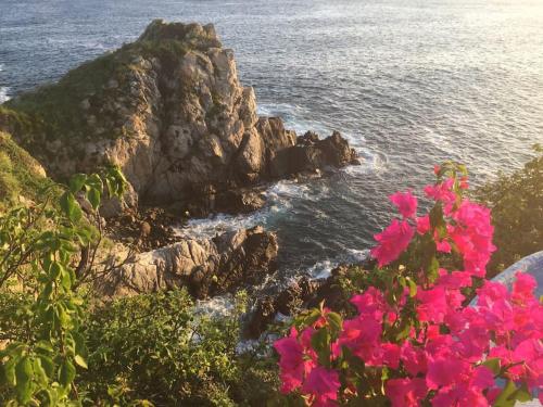 een uitzicht op de oceaan met rotsen en roze bloemen bij Hermosa Villa con alberca infinita Playa Zipolite in Puerto Ángel