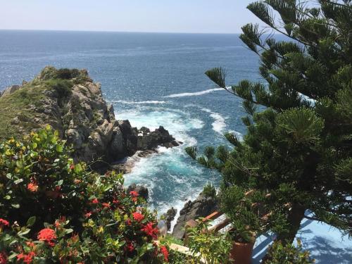 uitzicht op de oceaan vanaf een heuvel met bomen bij Hermosa Villa con alberca infinita Playa Zipolite in Puerto Ángel
