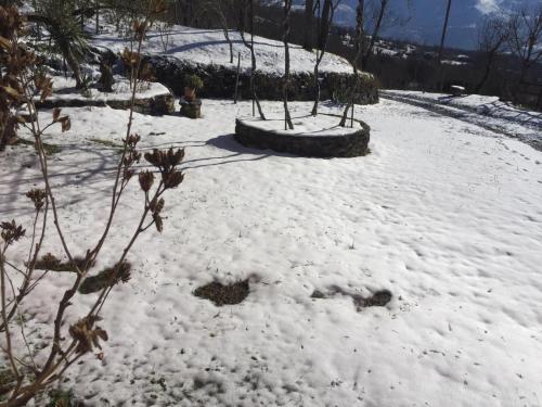 a snow covered yard with some plants and trees at Villa Franca in Castelluccio Inferiore