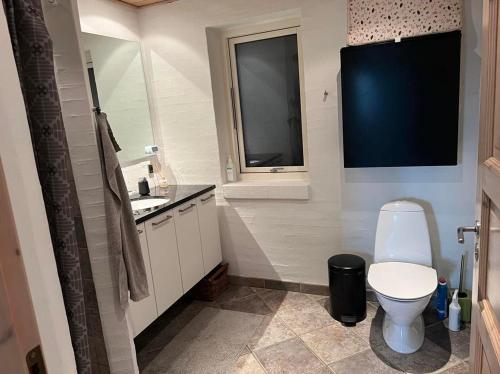 La salle de bains est pourvue de toilettes blanches et d'un lavabo. dans l'établissement Ebbesens Bed and Bath - two double rooms, à Herning
