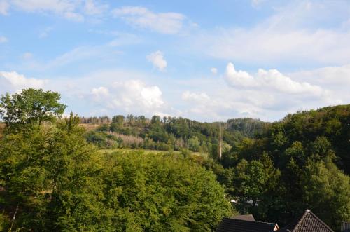 a view of a hill with trees and a field at Unterkunft in Bergneustadt in Bergneustadt