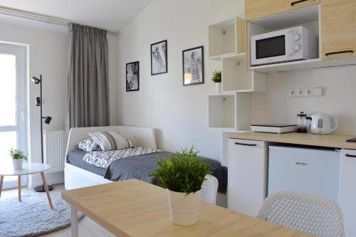 Kuchyň nebo kuchyňský kout v ubytování Seifert Residence