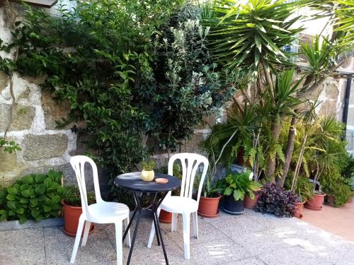 2 sillas y una mesa en un jardín con plantas en Metro Casa Música Apartments and Rooms, en Oporto