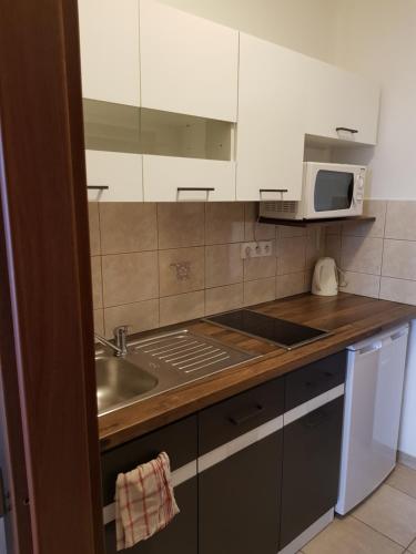 a kitchen with a sink and a microwave at Fridrich apartman in Veľký Meder