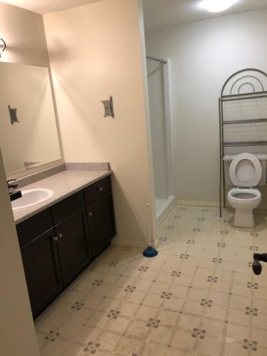 ein Bad mit einem Waschbecken und einem WC in der Unterkunft Licensed spacious basement suite with two king size beds in Chilliwack