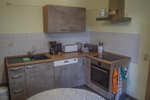 eine Küche mit einer Spüle und einem Herd Top-Backofen in der Unterkunft Pension Muldental Großbothen Wohnung 1 in Grimma