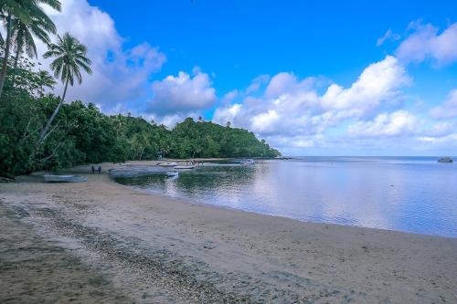 a beach with a palm tree and a body of water at Beqa Lagoon Resort in Beqa Island