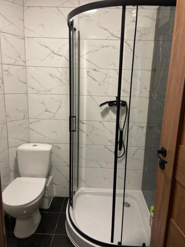 a bathroom with a shower with a toilet and a sink at Apartamenty Bezrzecze in Szczecin