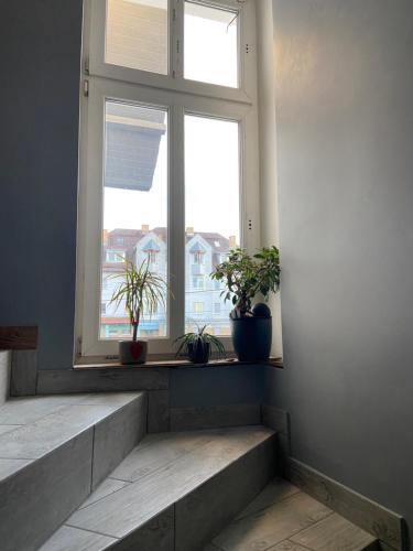 a window with potted plants in a room with stairs at Apartamenty Bezrzecze in Szczecin