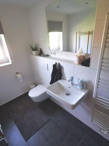a bathroom with a sink and a toilet and a mirror at Auszeit im Seenland in Hohenbocka
