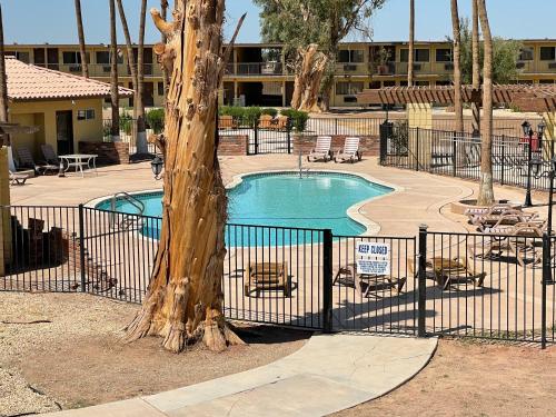 a swimming pool with a tree in front of a fence at Travelodge by Wyndham Imperial - El Centro in El Centro