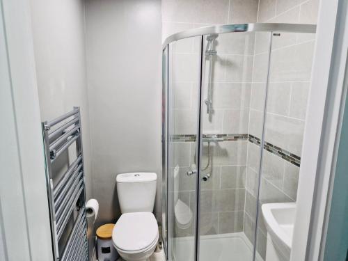 a small bathroom with a toilet and a shower at Violet House in Derry Londonderry