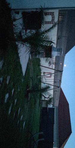a view of a building with a palm tree at Charmante maison au calme in Sainte-Maure