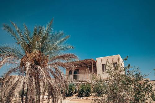 an old house with a palm tree in front of it at Selina Tzukim in Zuqim