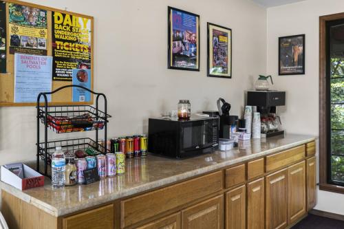 a kitchen with a counter top with a microwave at Candlewick Inn and Suites in Eureka Springs