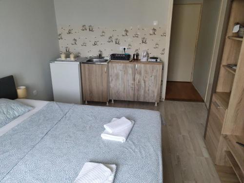 a room with a bed and a sink and a kitchen at Aloha - Sobe sa kupatilom in Golubac