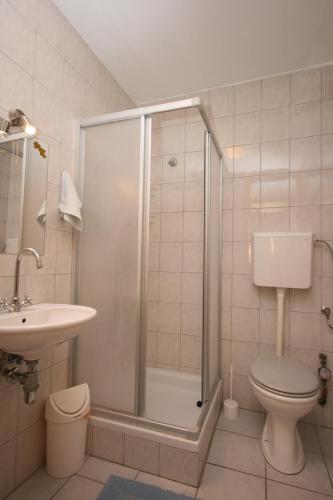 a bathroom with a shower and a toilet and a sink at Apartment Mandre 6405e in Kolan