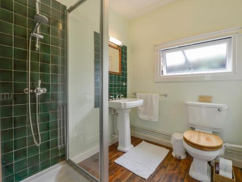 a bathroom with a toilet and a sink and a shower at Kestorway in Gidleigh