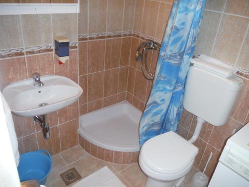 a bathroom with a toilet and a sink and a shower at Apartments with a parking space Mareda, Novigrad - 7100 in Novigrad Istria