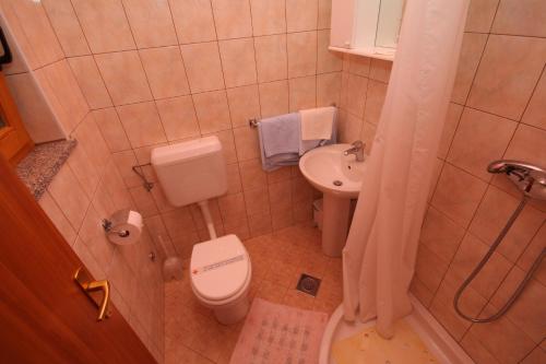 a small bathroom with a toilet and a sink at Apartments with a swimming pool Motovun - Bataji, Central Istria - Sredisnja Istra - 7069 in Motovun